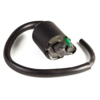 Bobina Ignição Fan 09 Magnetron