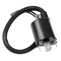 Bobina Ignição Biz 125 Magnetron