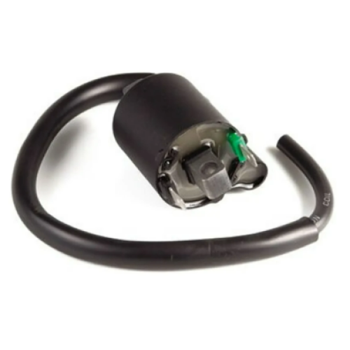 Bobina Ignição Fan 09 Magnetron